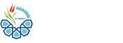 www.kuzem.org